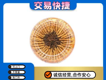 黄山回收虫草礼盒